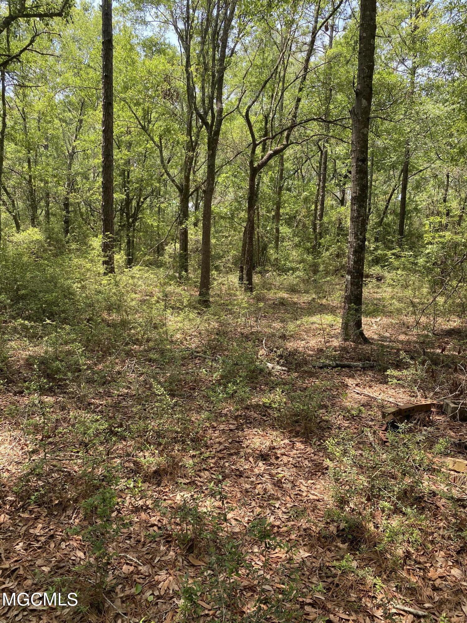 4008 Kasper Road Moss Point, MS 39562 - Photo 26 of 50 2D29B188-1FE6-4FFD-976D-DB16494DF649