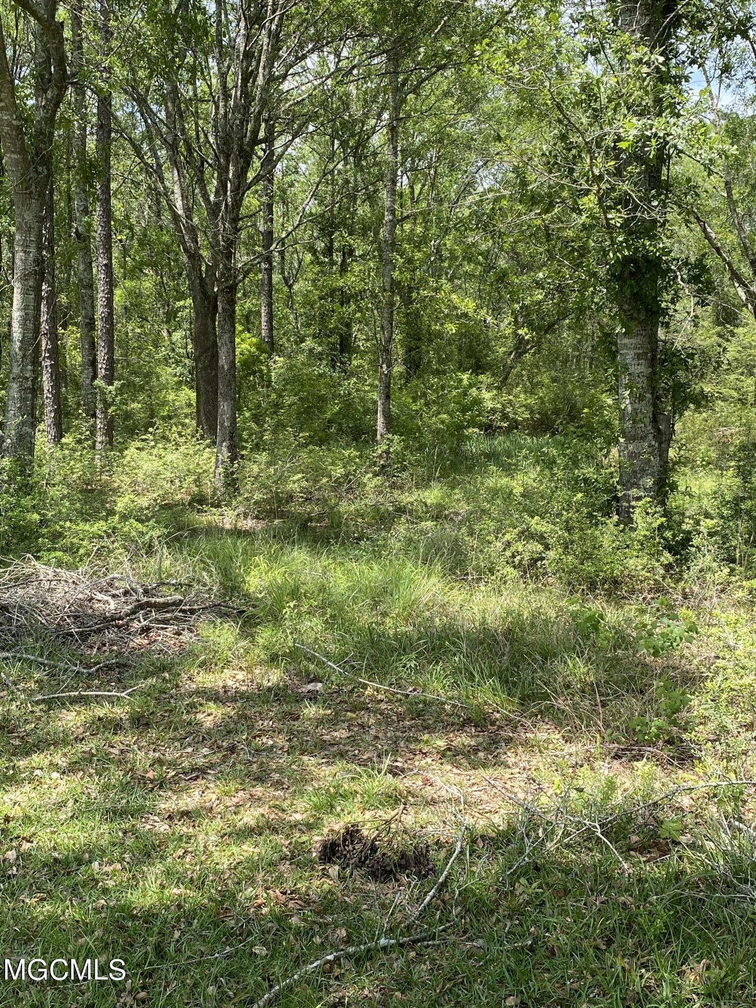 4008 Kasper Road Moss Point, MS 39562 - Photo 36 of 50 9F26911E-0E50-4B8B-AA54-F74415098A13