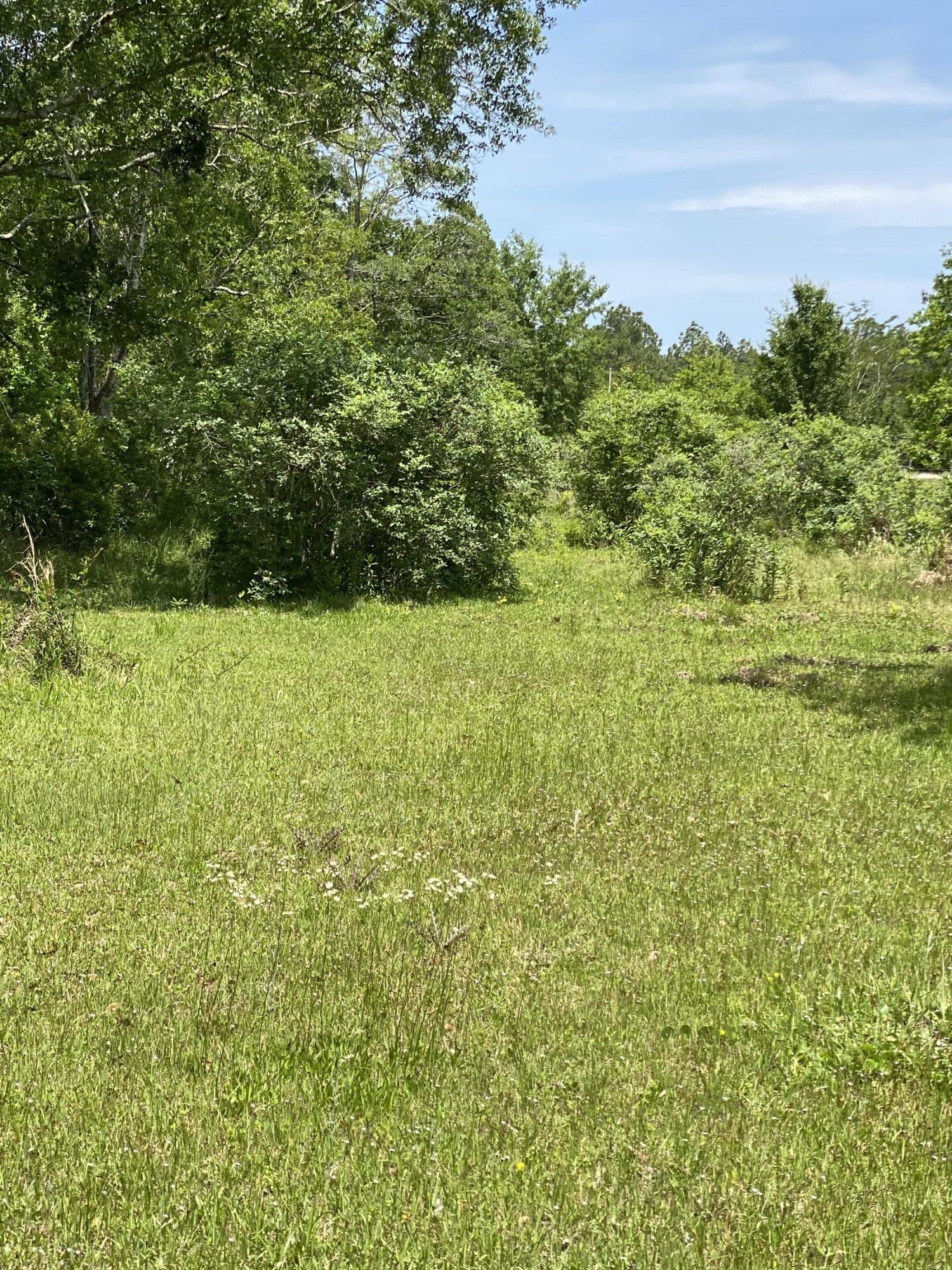 4008 Kasper Road Moss Point, MS 39562 - Photo 38 of 50 751548C3-71D7-4E73-82B2-55C86EC52E63