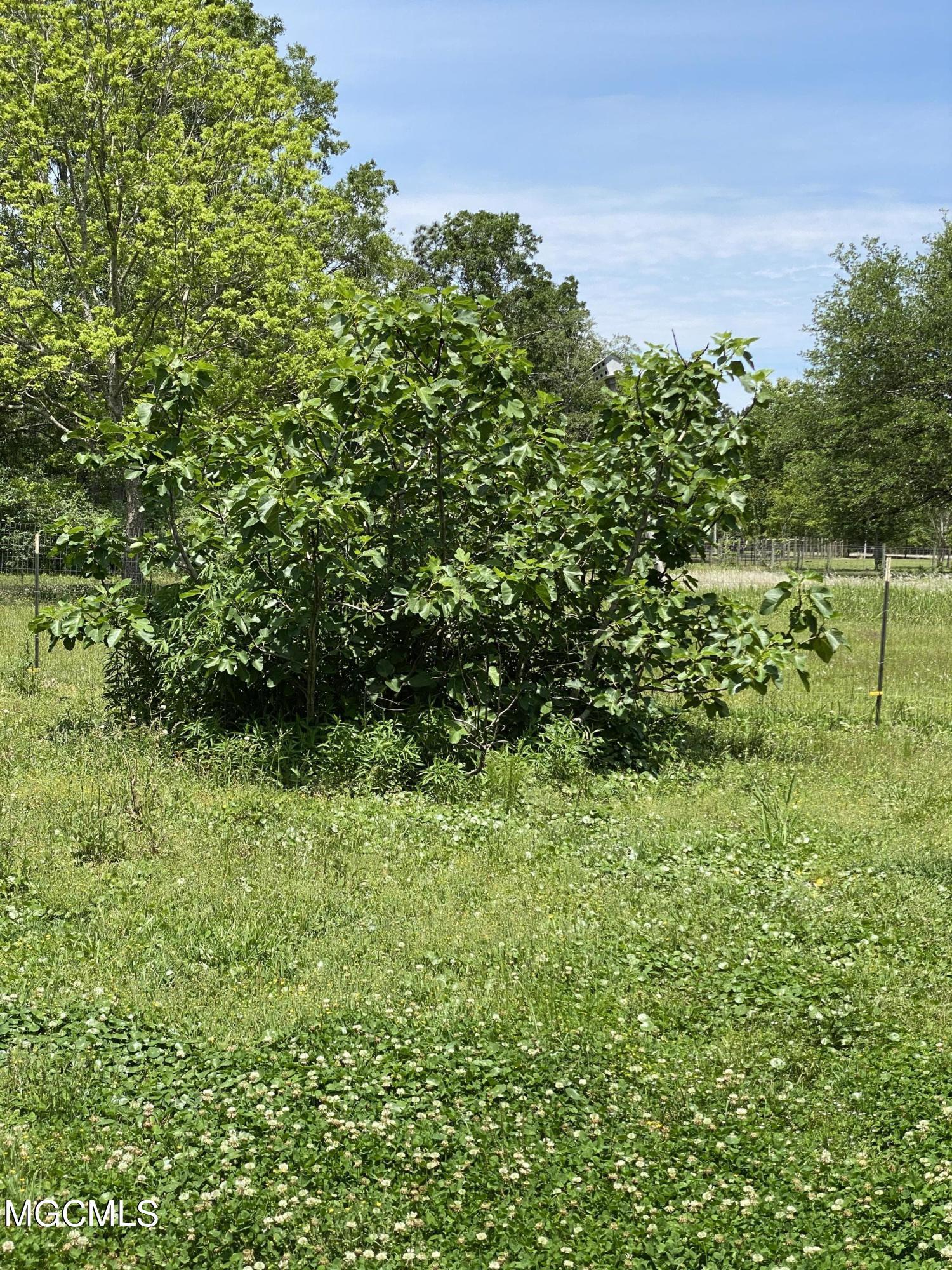 4008 Kasper Road Moss Point, MS 39562 - Photo 45 of 50 9B8F93DB-A5F1-4352-B3C4-C8BB57A6ACFB