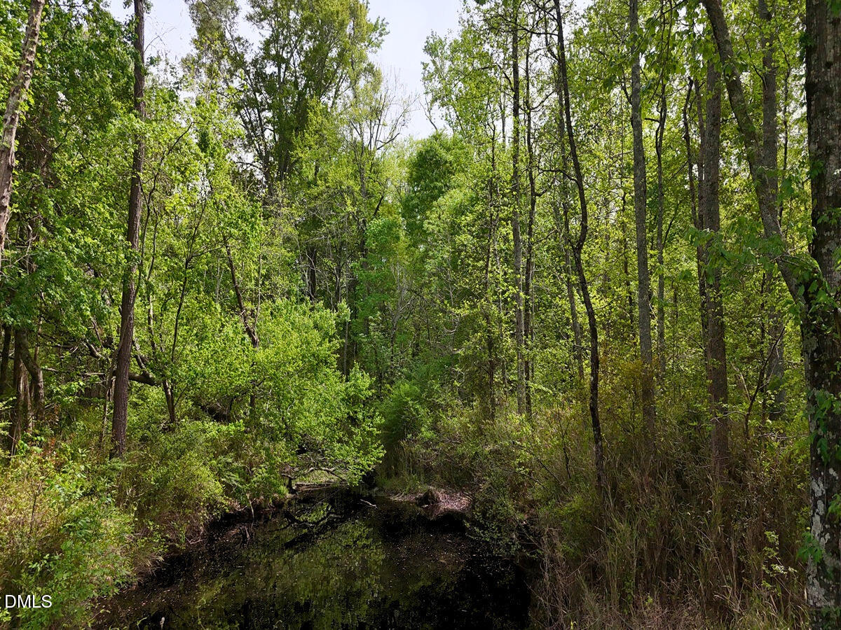 0 Mamie Road Wilson, NC 27893 - Photo 20 of 29 20.