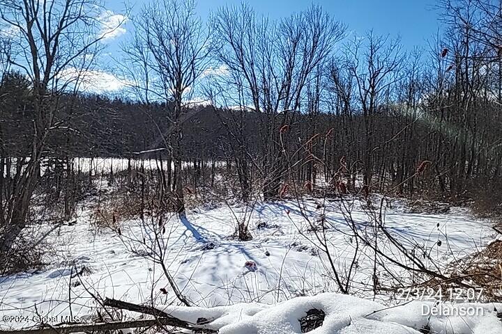 897 North Knight Road Delanson, NY 12053 - Photo 40 of 41 TimePhoto_20240203_120720