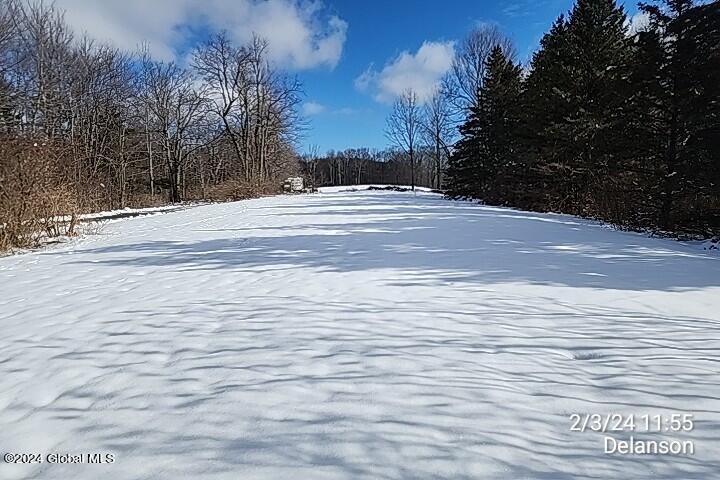 897 North Knight Road Delanson, NY 12053 - Photo 7 of 41 TimePhoto_20240203_115516