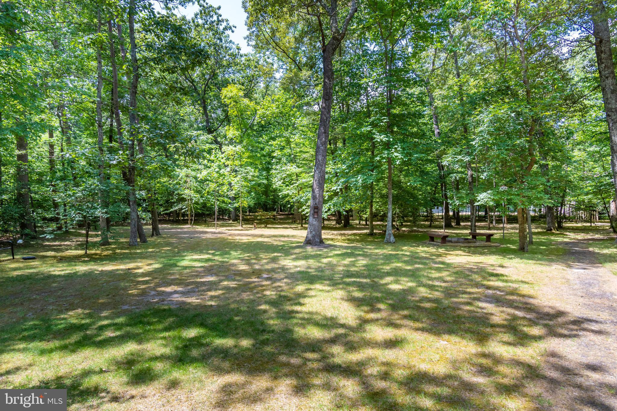 14700 Plains Court Ridgely, MD 21660 - Photo 43 of 53 Beautiful wooded acreage