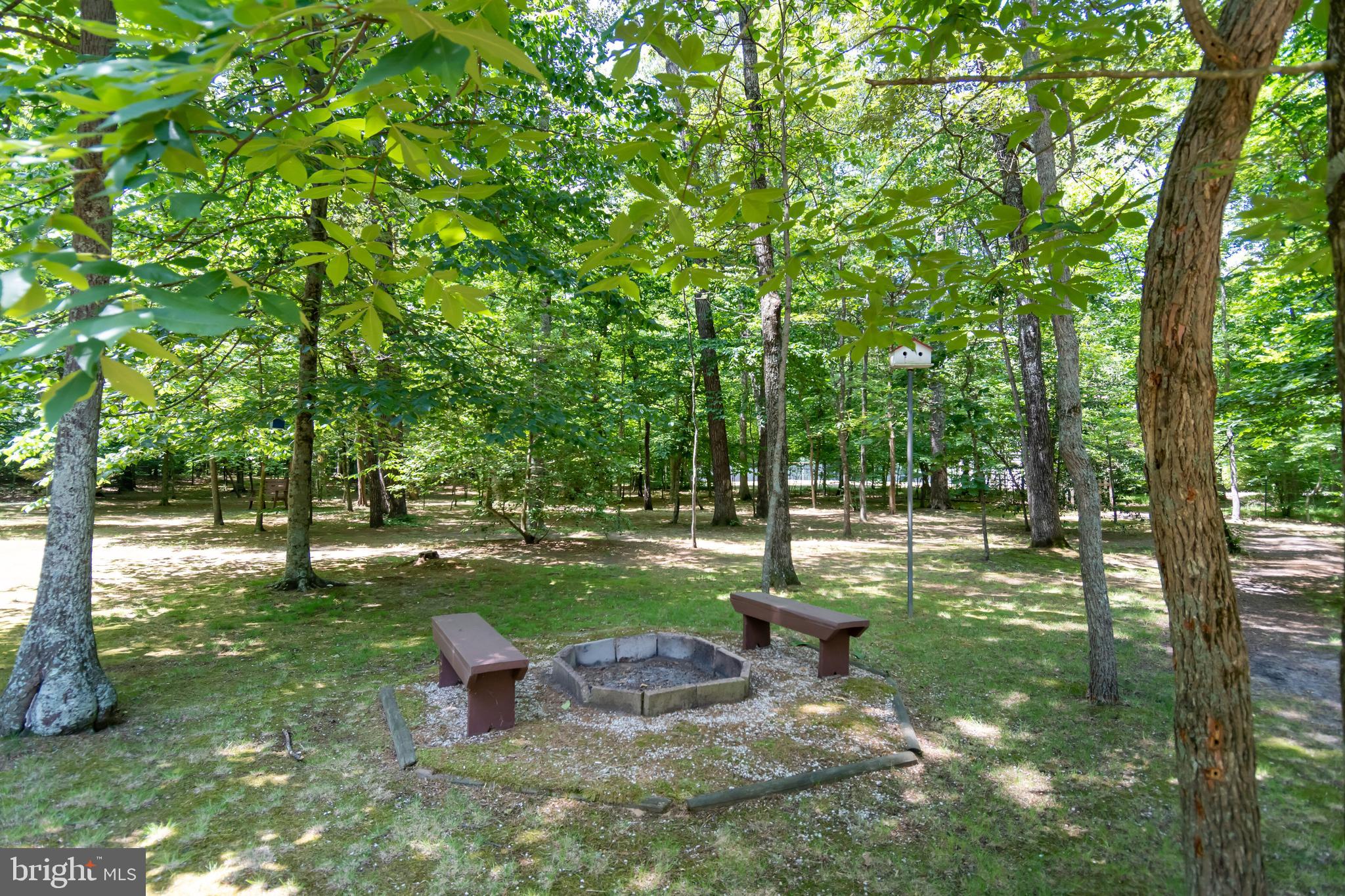 14700 Plains Court Ridgely, MD 21660 - Photo 46 of 53 Enjoy a woodland walk!