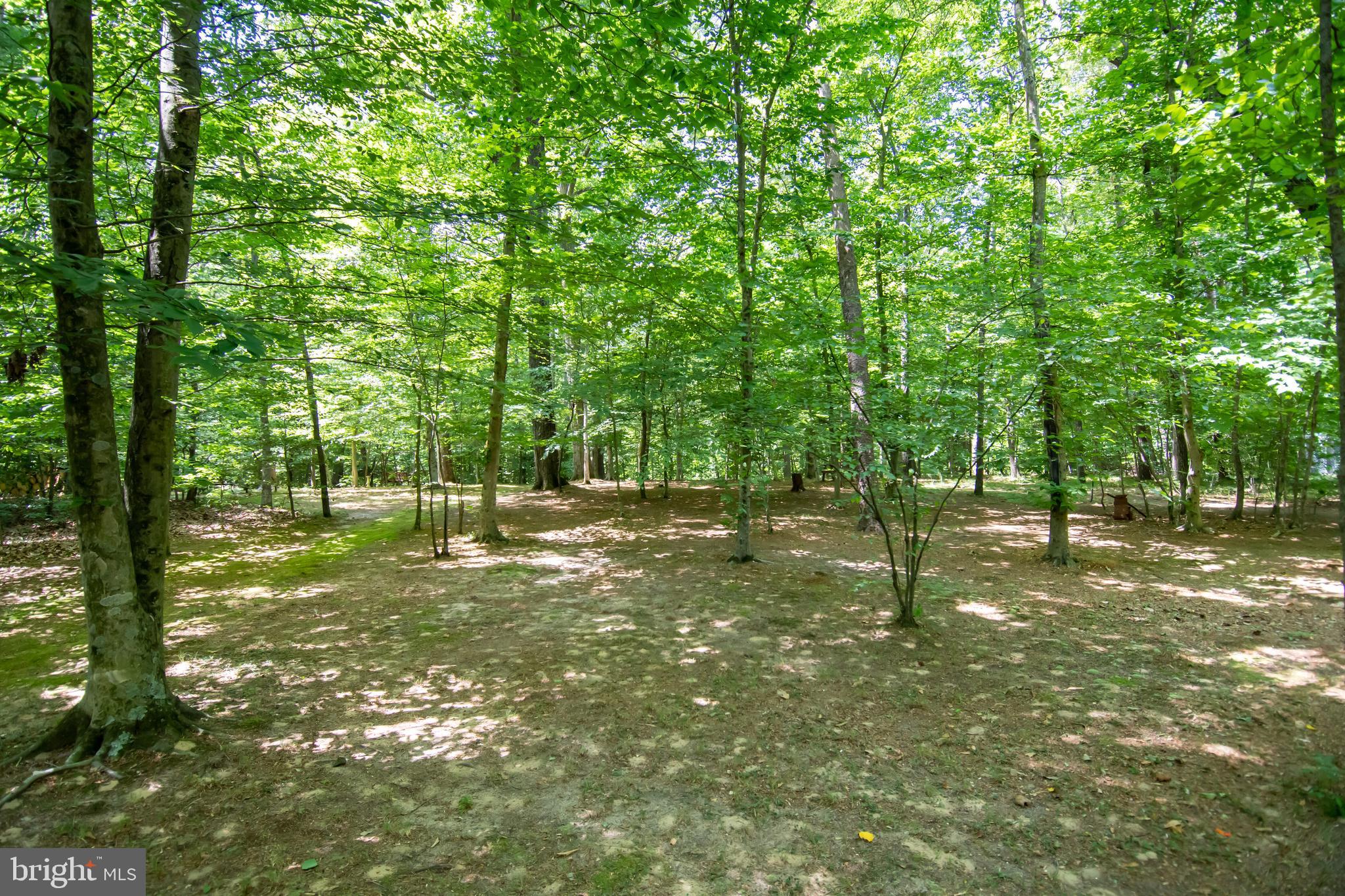 14700 Plains Court Ridgely, MD 21660 - Photo 49 of 53 Gallery Image 49