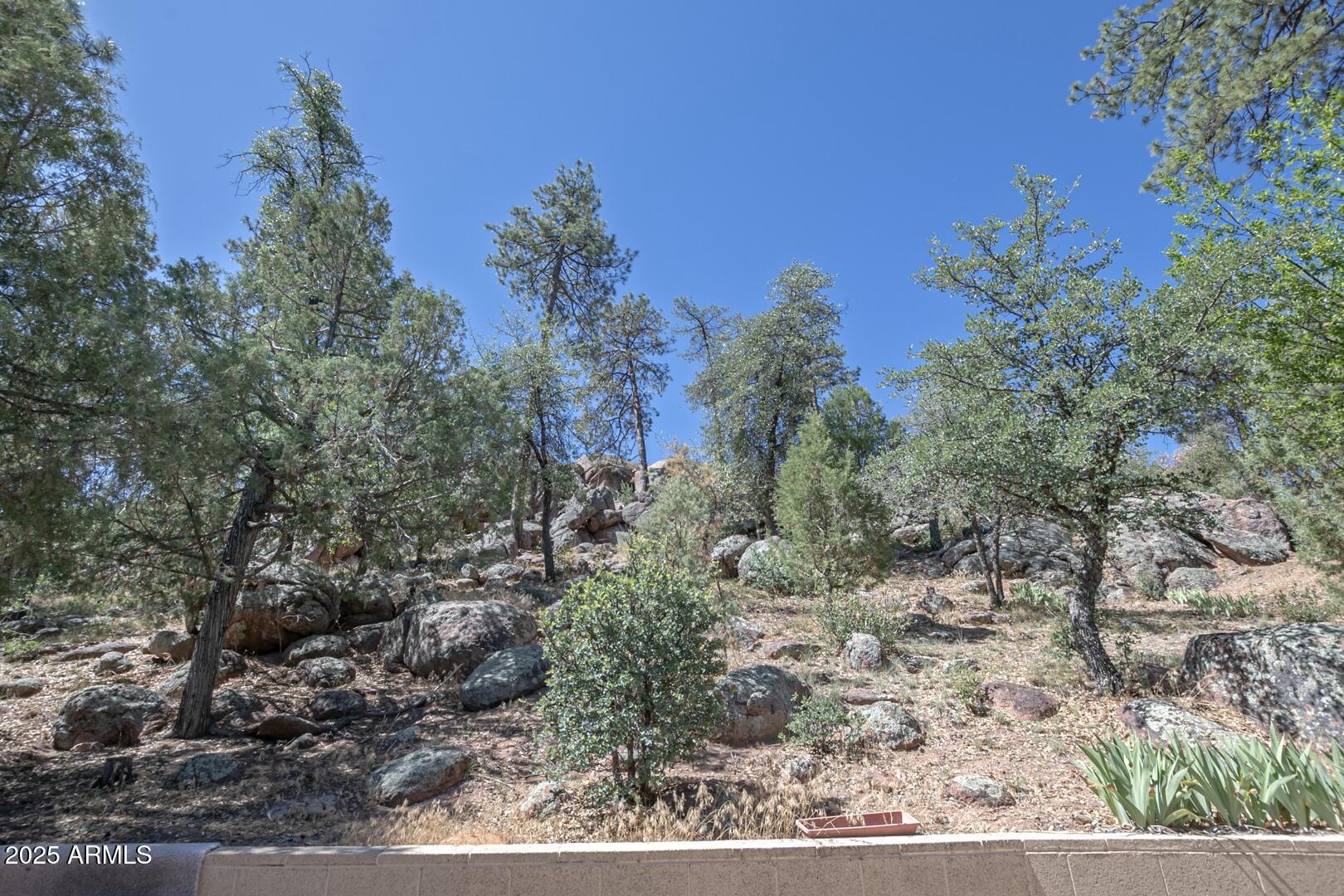 405 East Cherry Street Payson, AZ 85541 - Photo 44 of 47 a view of a yard with a tree