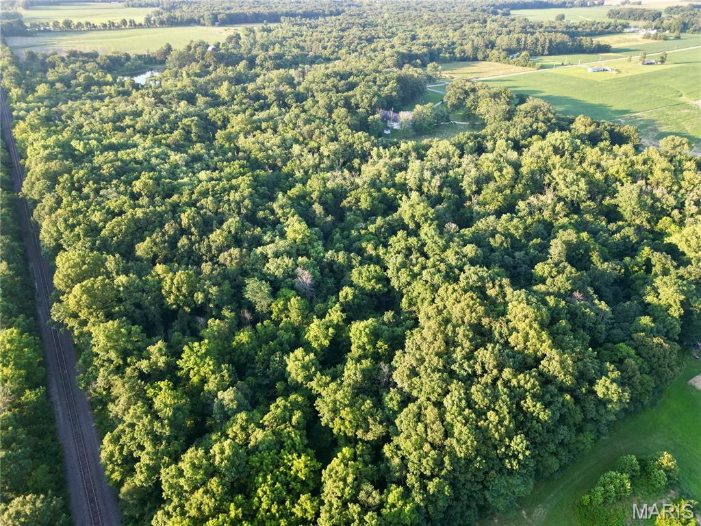 0 County Farm Road Kell, IL 62853 - Photo 1 of 25