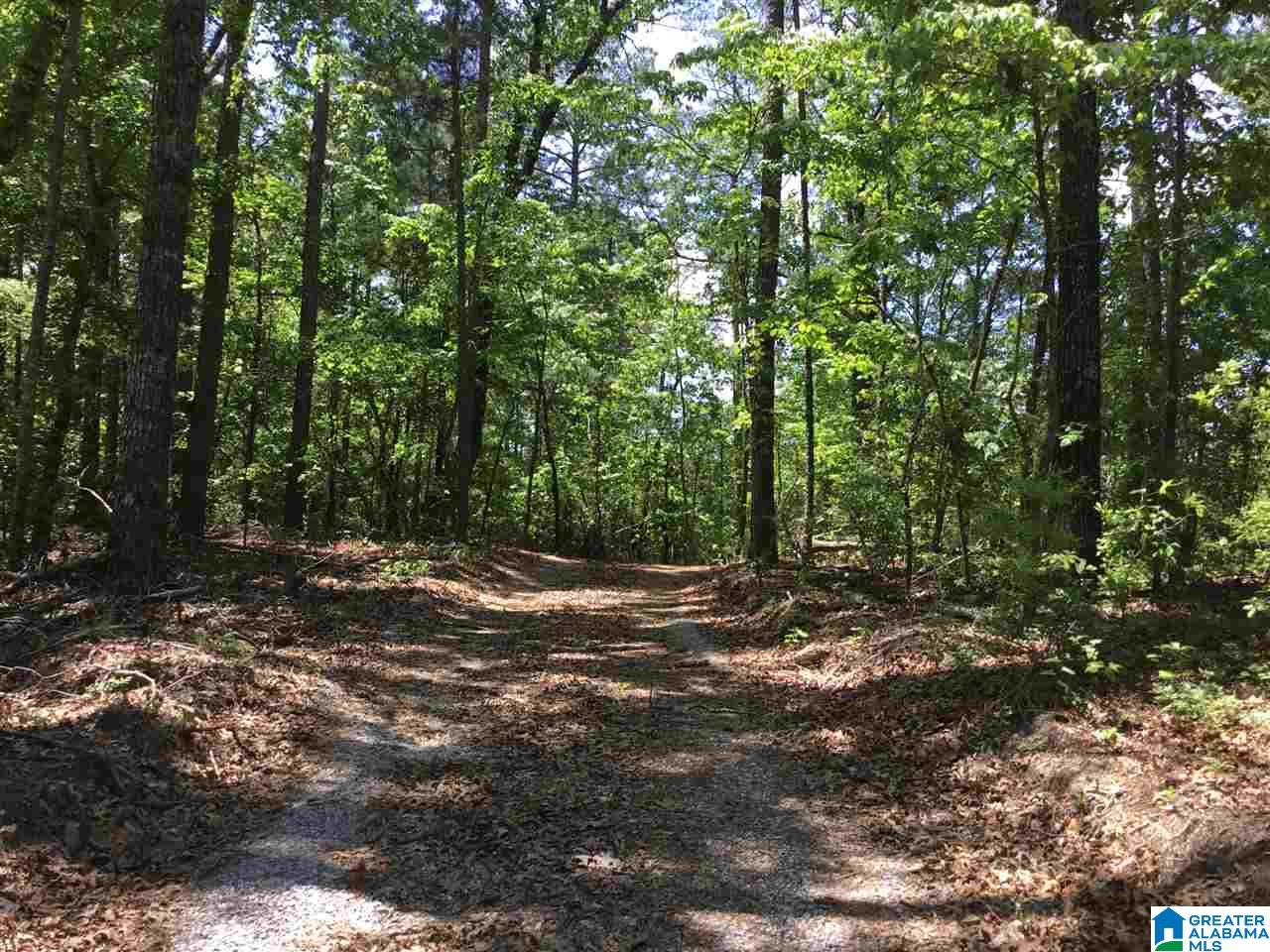 7237 Joinertown Road, Unit 7 09 ACRES Columbiana, AL 35051 - Photo 2 of 17