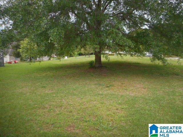 6001 Riviere Drive Pell City, AL 35128 - Photo 13 of 16