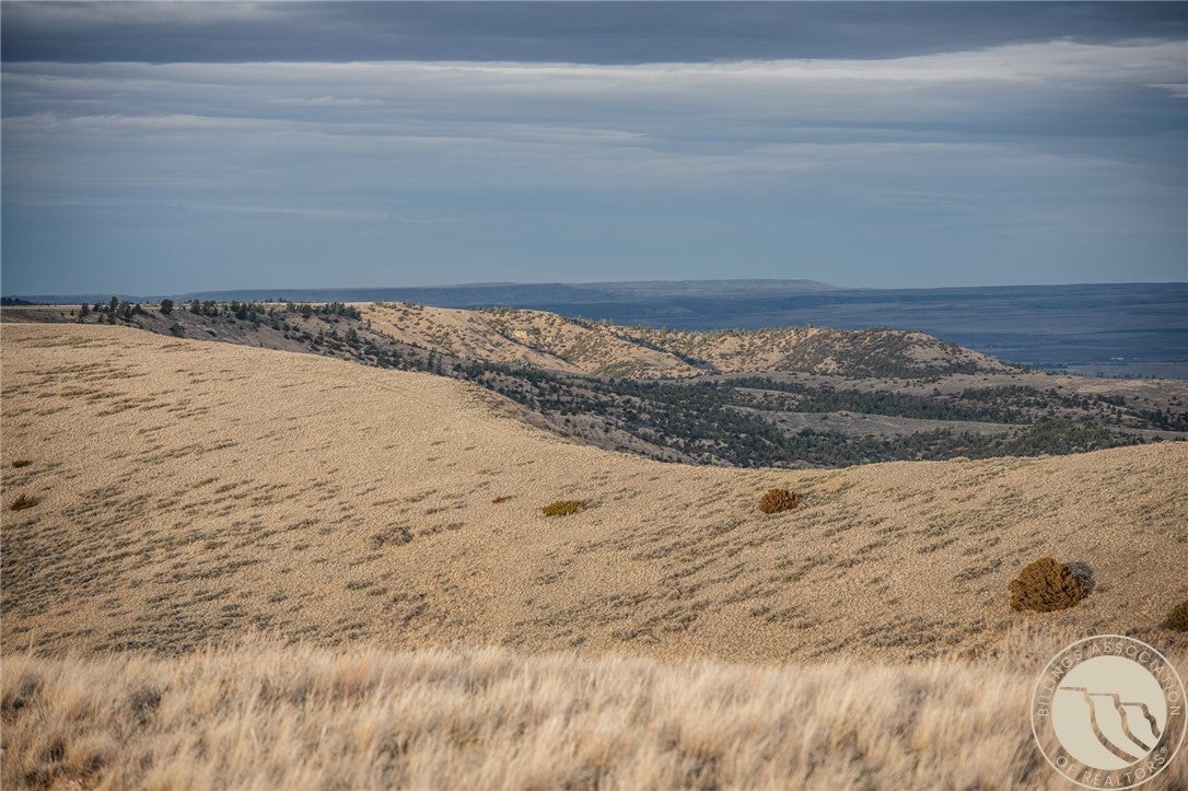 Tbd Elbow Creek Road Roberts, MT 59070 - Photo 20 of 24 Gallery Image 20