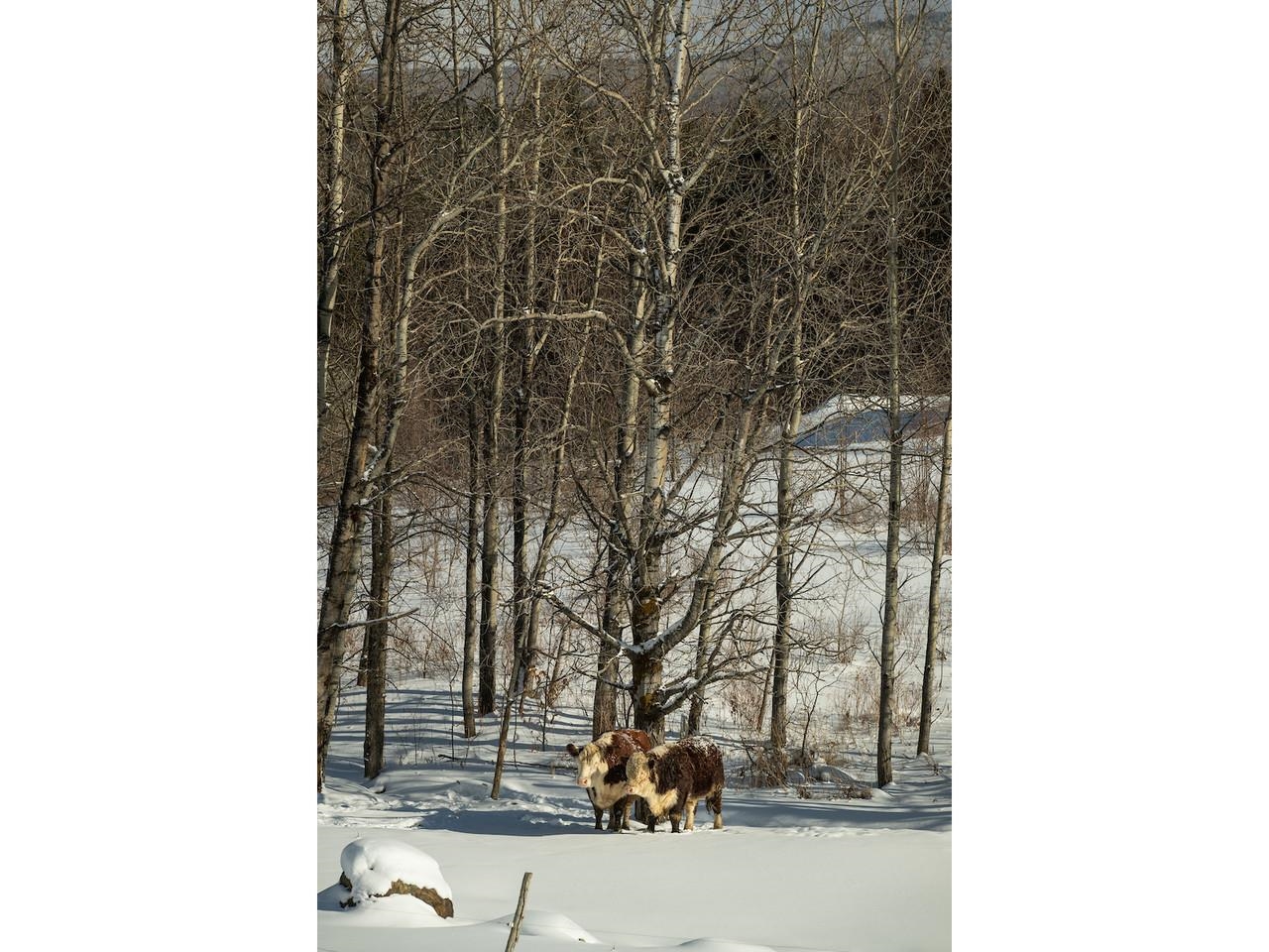 Lot 4 Weaver Road Huntington, VT 05462 - Photo 13 of 13