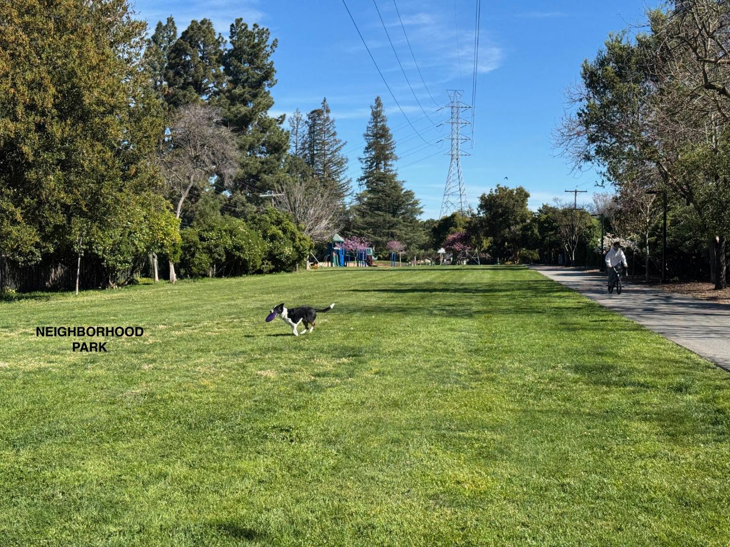 219 Longridge Road Los Gatos, CA 95032 - Photo 21 of 32