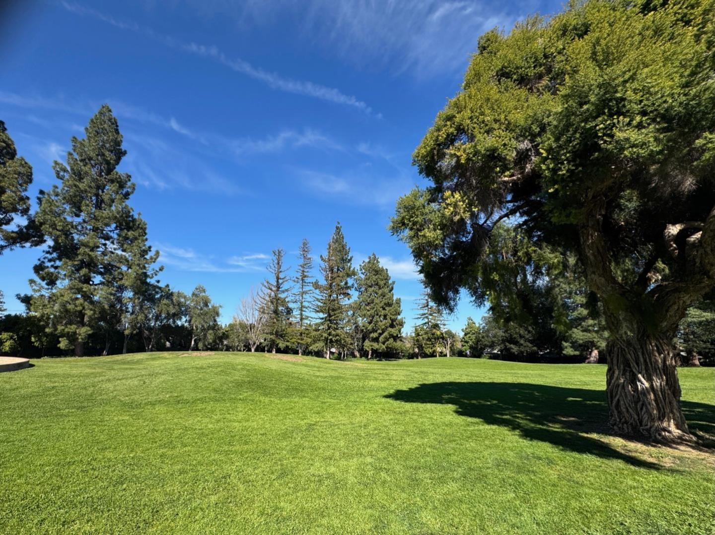 219 Longridge Road Los Gatos, CA 95032 - Photo 24 of 32