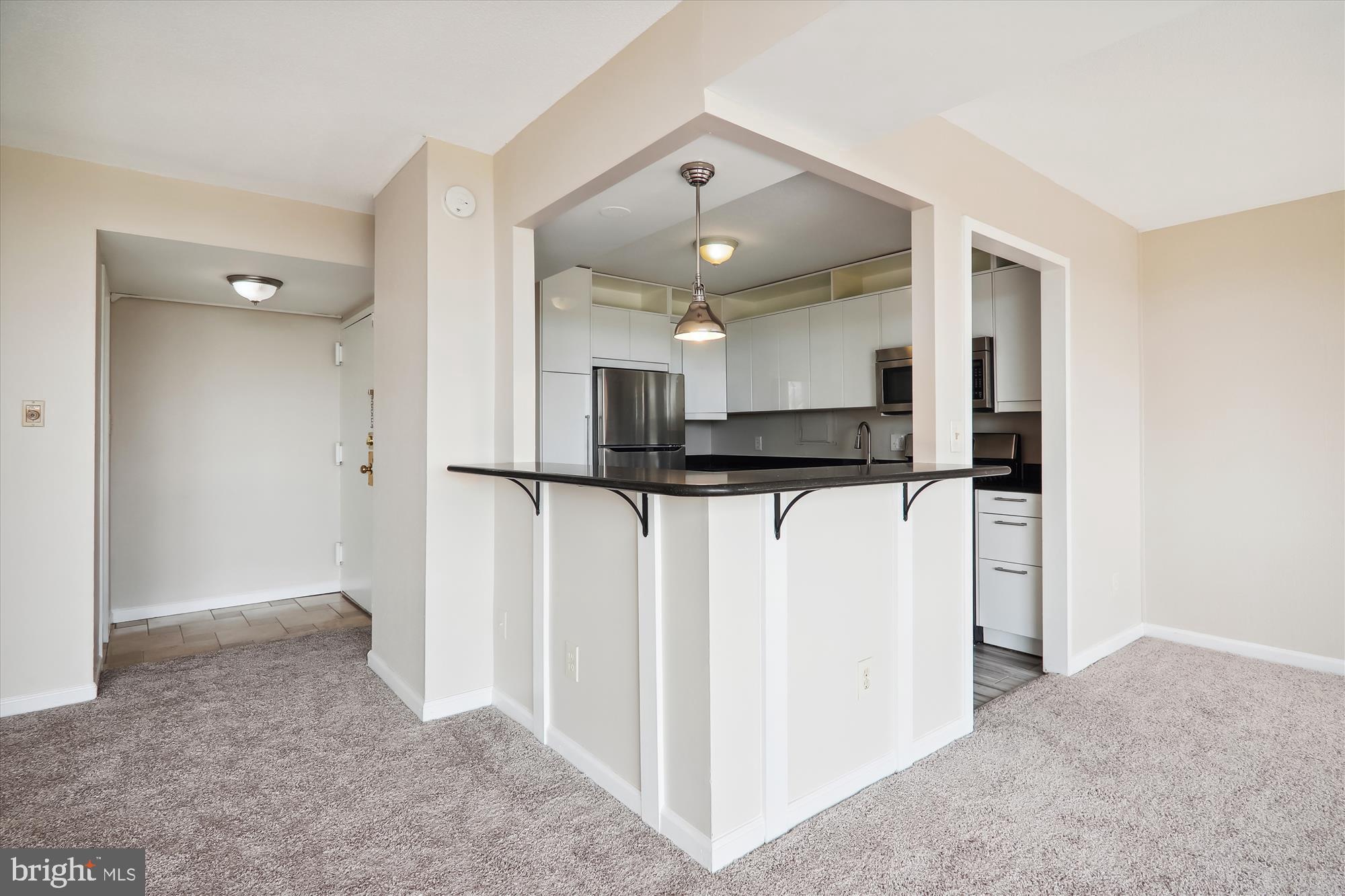 1836 Metzerott Road, Unit 923 Hyattsville, MD 20783 - Photo 14 of 25 View of Counter with Pendant Lighting