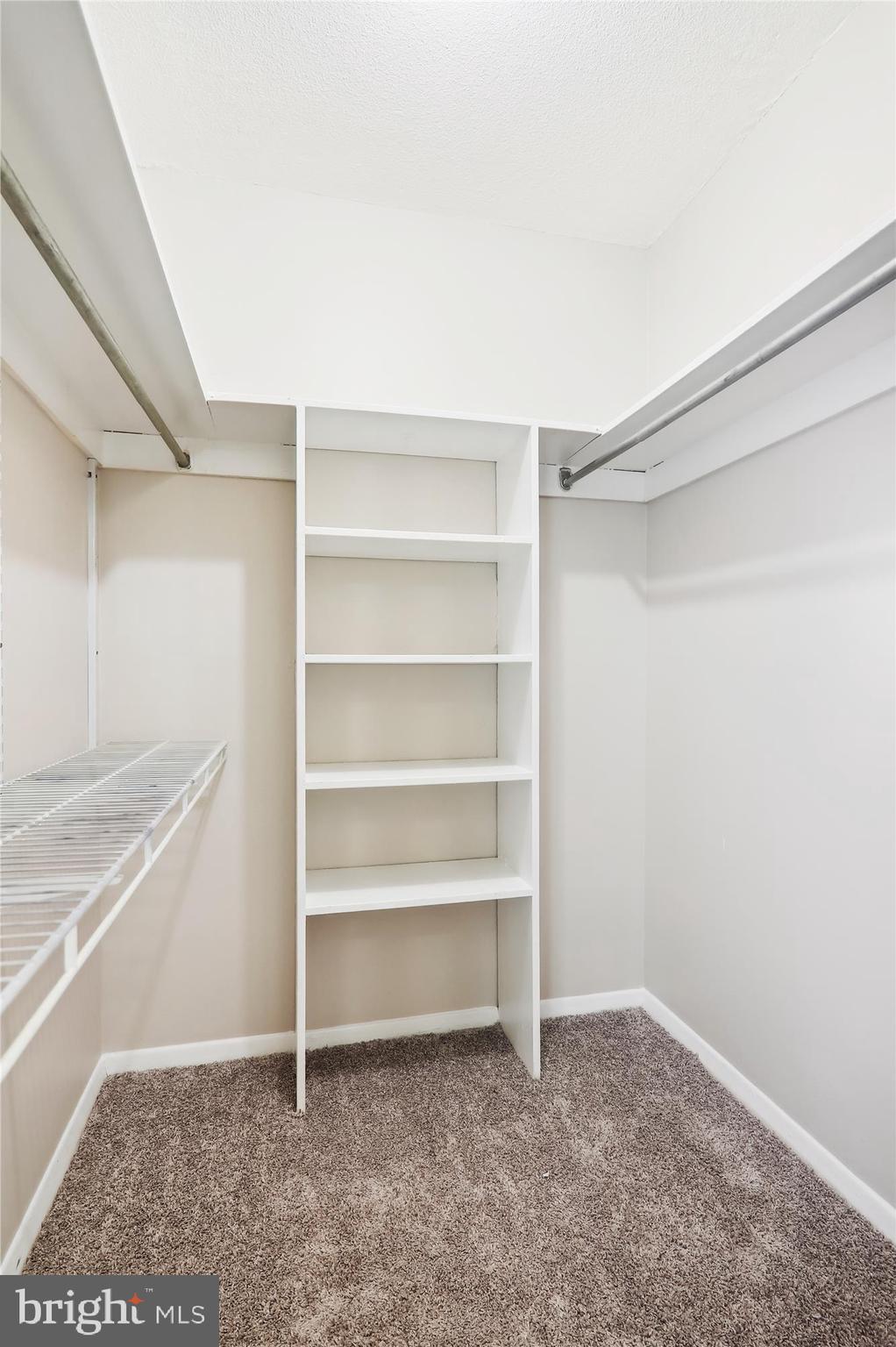 1836 Metzerott Road, Unit 923 Hyattsville, MD 20783 - Photo 17 of 25 Primary Bedroom Walk-in Closet