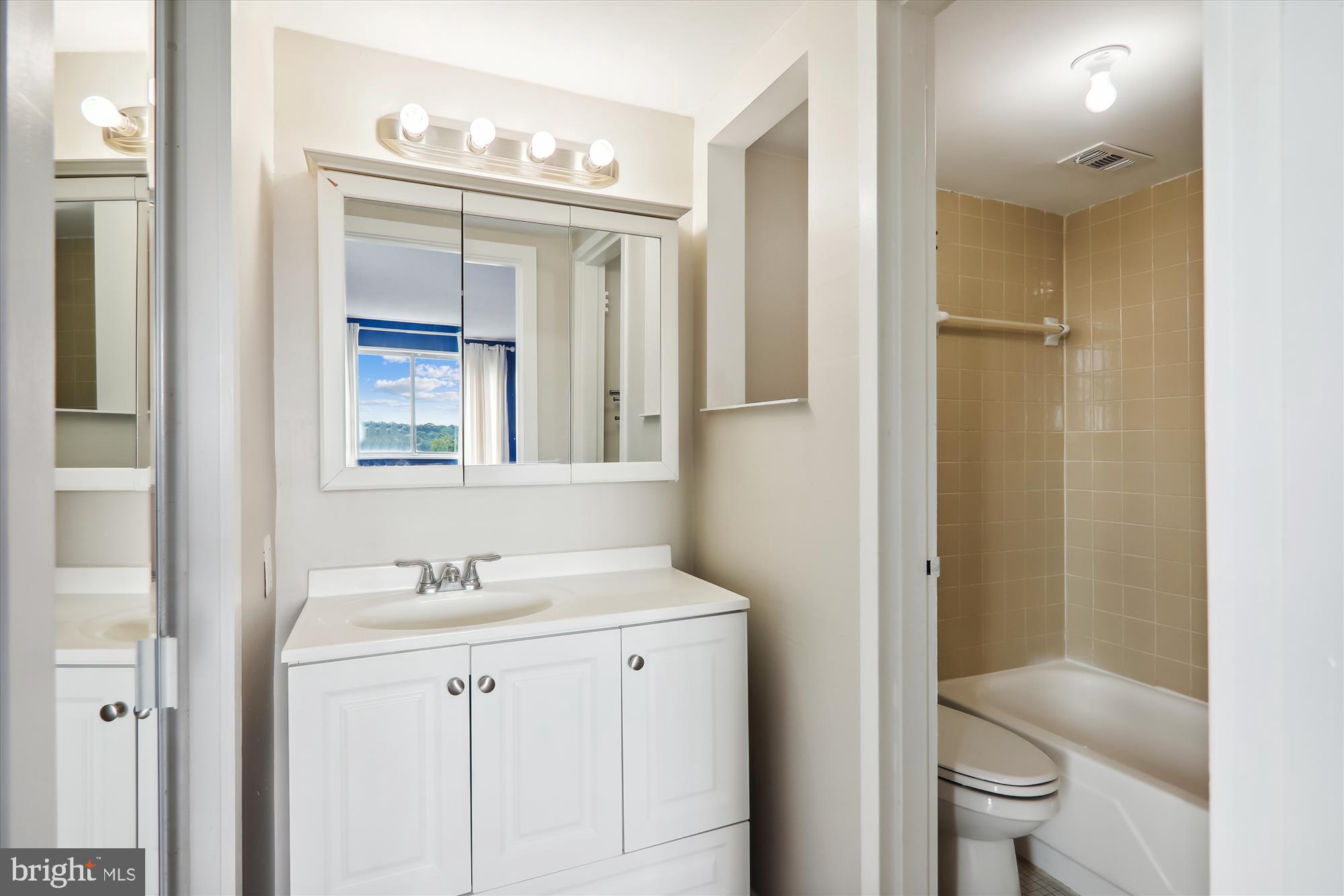 1836 Metzerott Road, Unit 923 Hyattsville, MD 20783 - Photo 18 of 25 Primary Bath