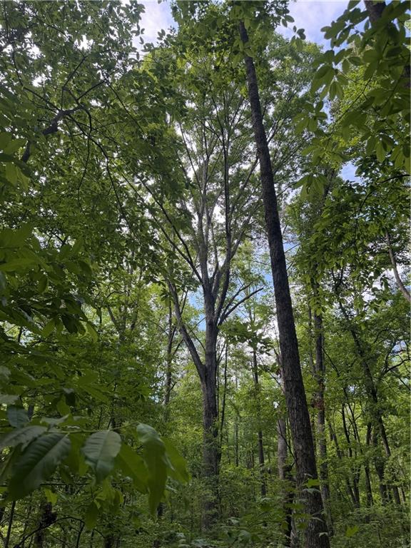 1 Melear Road Bowdon, GA 30108 - Photo 42 of 51