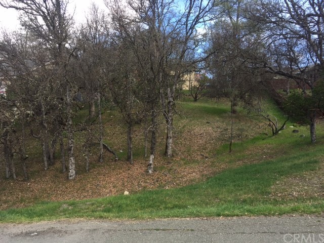 19144 Moon Ridge Road Hidden Valley Lake, CA 95467 - Photo 1 of 1 a view of a forest with a tree