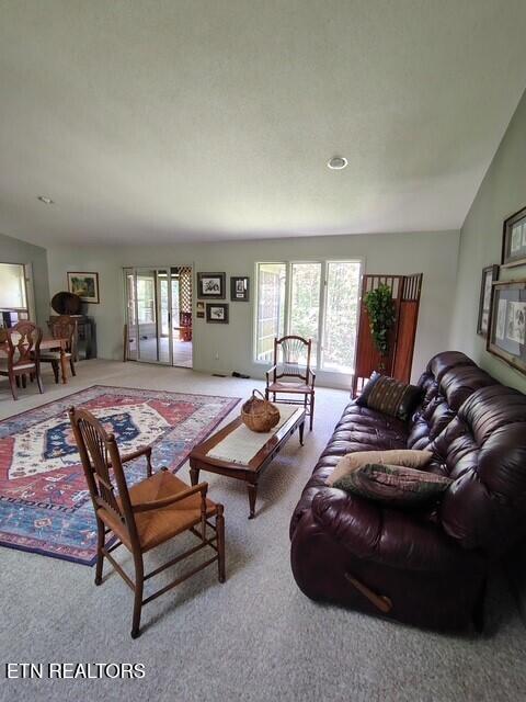 324 Meadows Road Sparta, TN 38583 - Photo 4 of 14 1