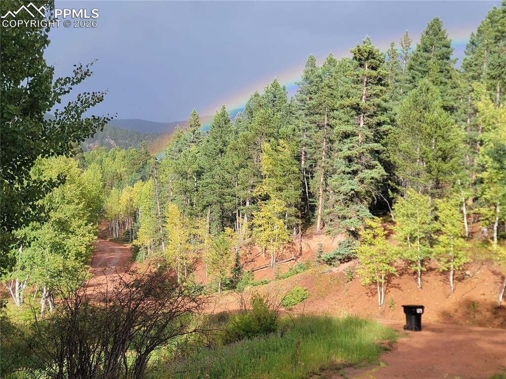 325 Willow Road Divide, CO 80814 - Photo 32 of 49