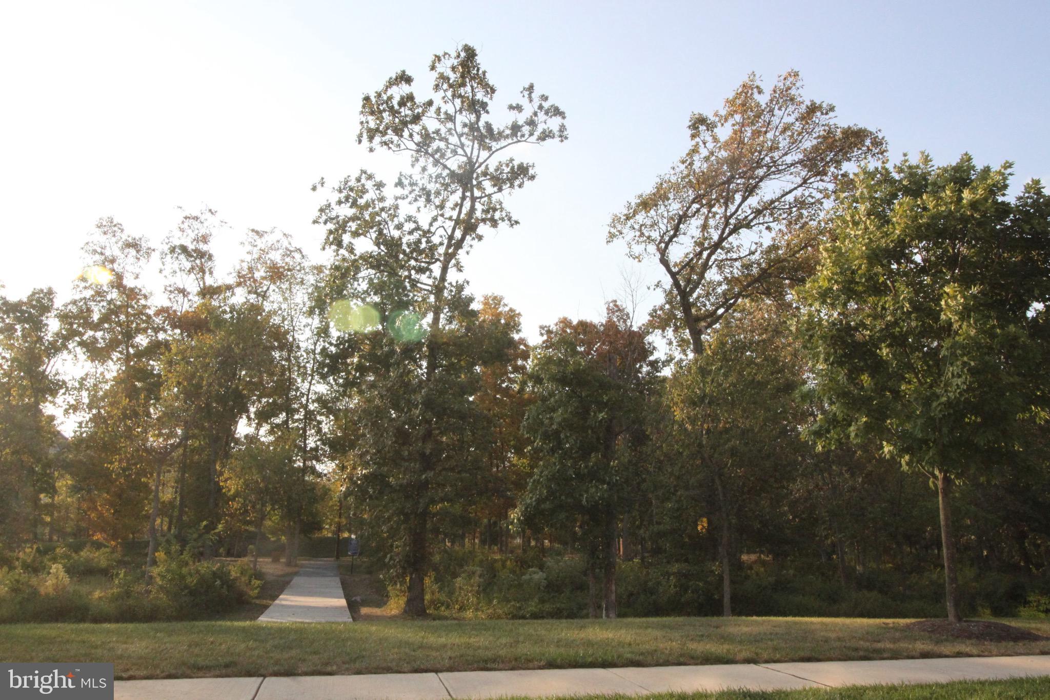 44738 Tiverton Square Ashburn, VA 20147 - Photo 57 of 66 a view of a yard