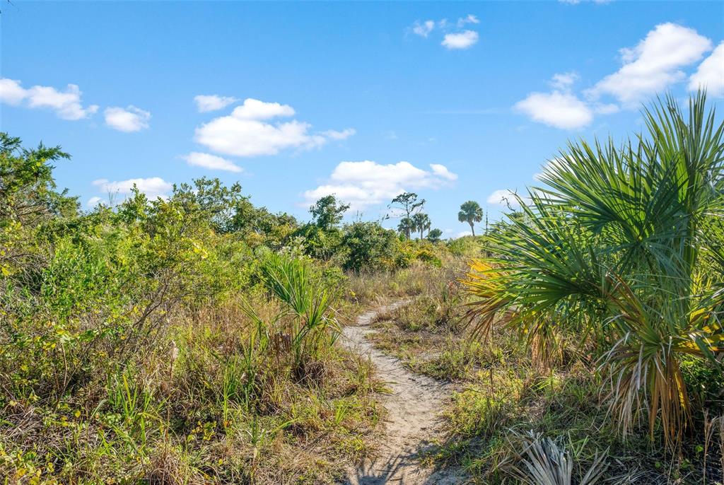 4001 Tarpon Road Venice, FL 34293 - Photo 34 of 39