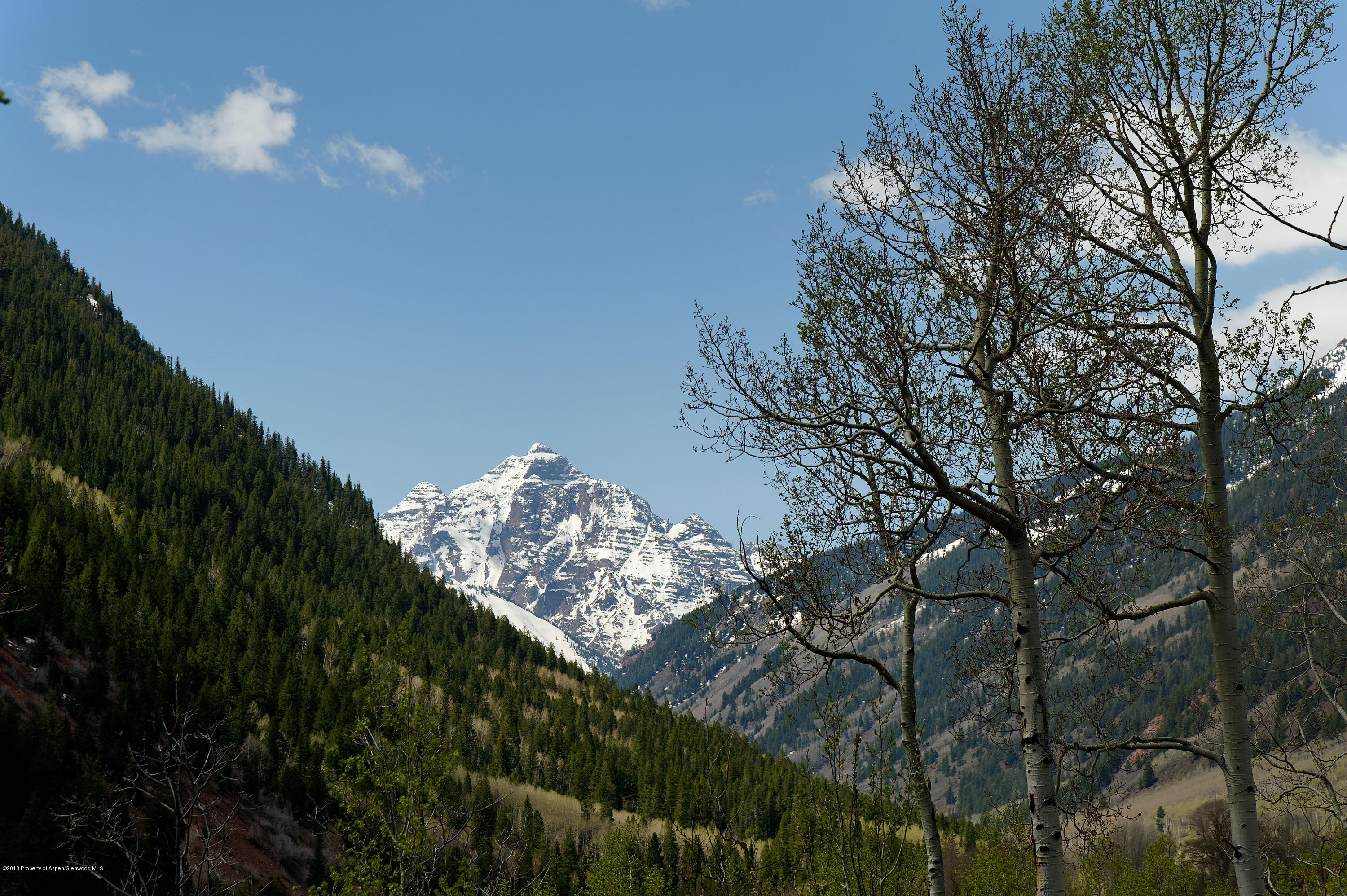 2021 Maroon Creek Road Aspen, CO 81611 - Photo 21 of 21 a view of a tree in a yard