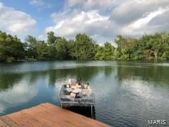 17126 Lark Road Nashville, IL 62263 - Photo 35 of 47 Gallery Image 35