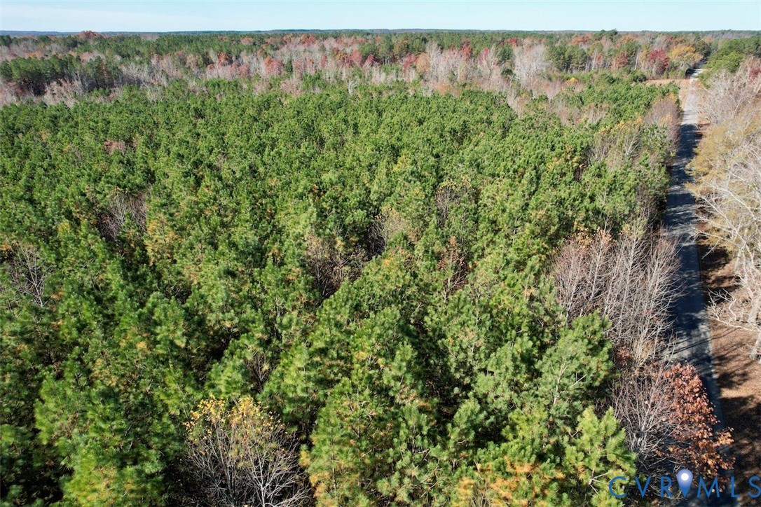 0 Grubby Road Wilsons, VA 23894 - Photo 11 of 27 a view of a yard with a tree
