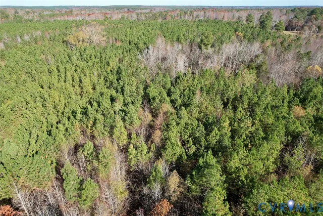 a view of a lush green forest with trees and houses