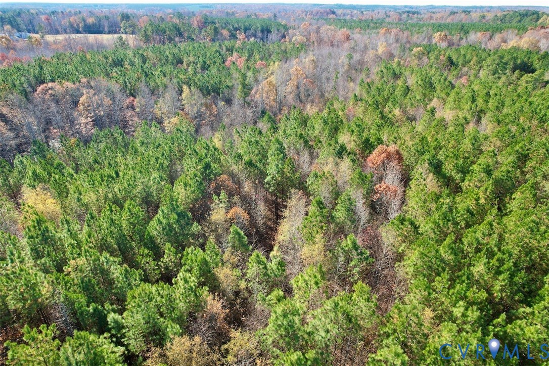 0 Grubby Road Wilsons, VA 23894 - Photo 14 of 27 a view of a garden