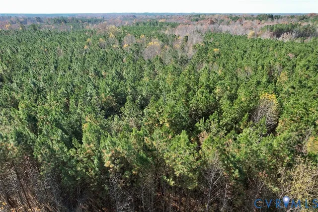 a view of a lush green forest with trees in the background