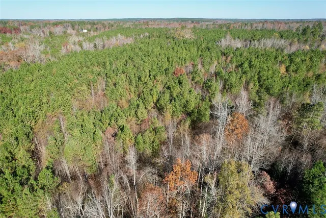 a view of a lush green forest with trees and a houses