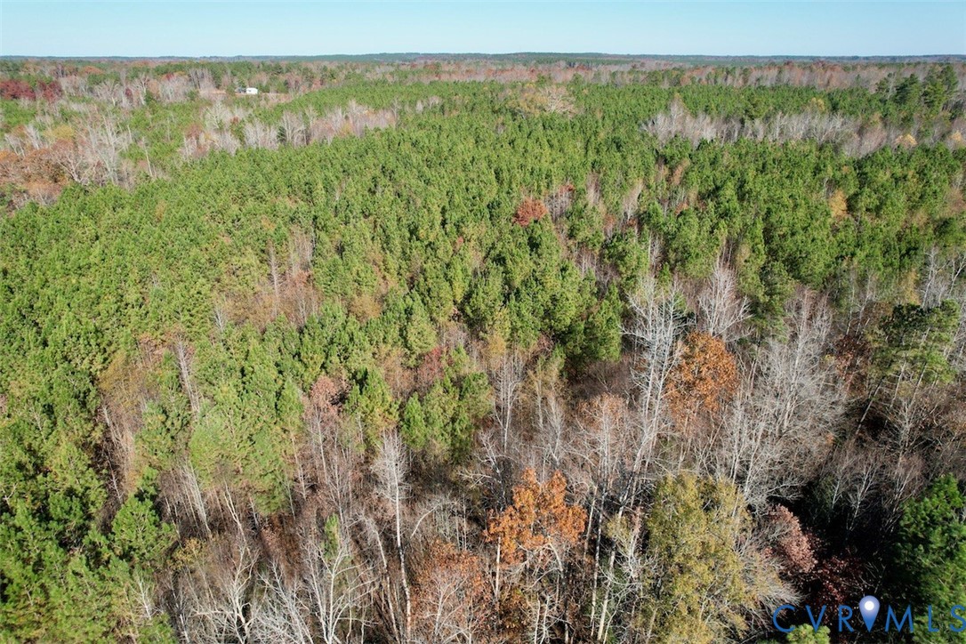 0 Grubby Road Wilsons, VA 23894 - Photo 18 of 27 a view of a lush green forest with trees and a houses