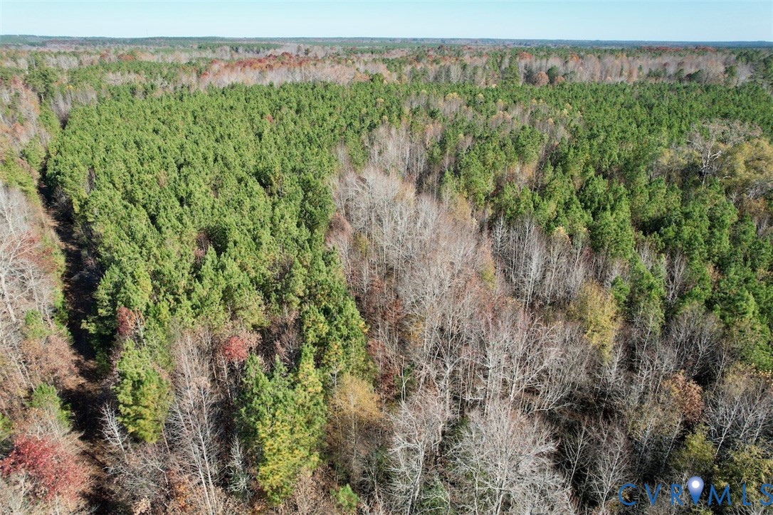0 Grubby Road Wilsons, VA 23894 - Photo 19 of 27 a view of a yard with an outdoor seating