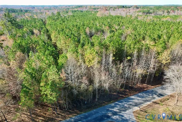 a view of a yard with plants and trees