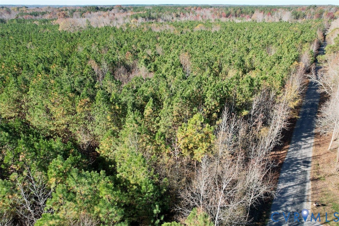 0 Grubby Road Wilsons, VA 23894 - Photo 21 of 27 a view of a green field