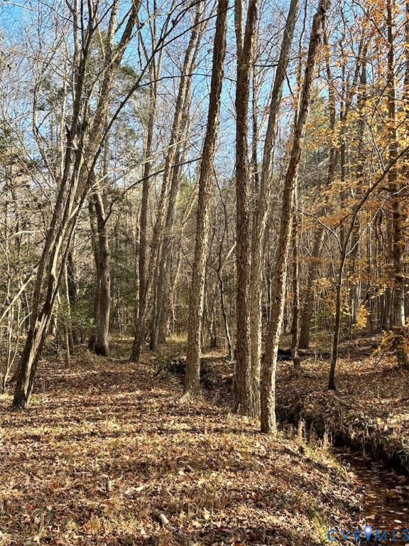 0 Grubby Road Wilsons, VA 23894 - Photo 22 of 27 a backyard of a house with lots of trees