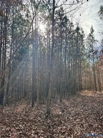 a view of a yard with trees