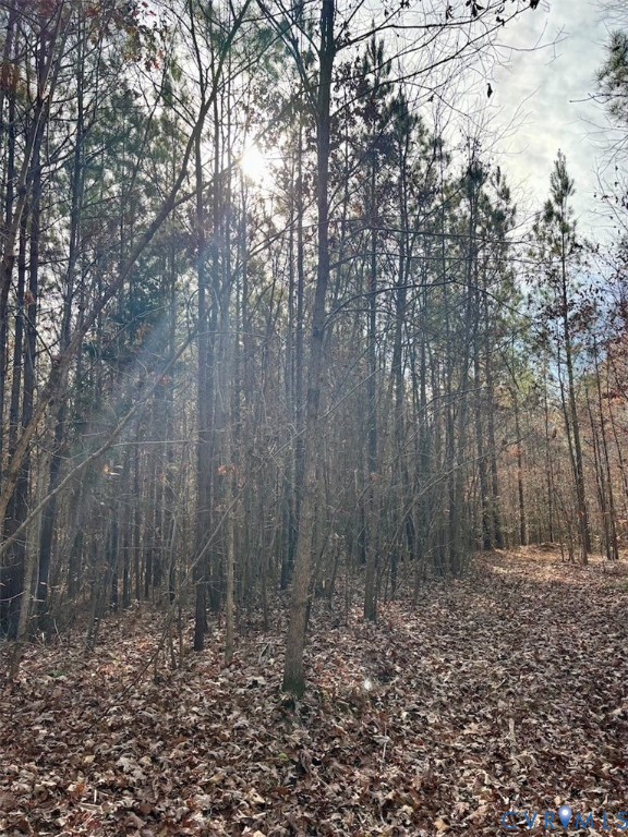 0 Grubby Road Wilsons, VA 23894 - Photo 23 of 27 a view of a yard with trees