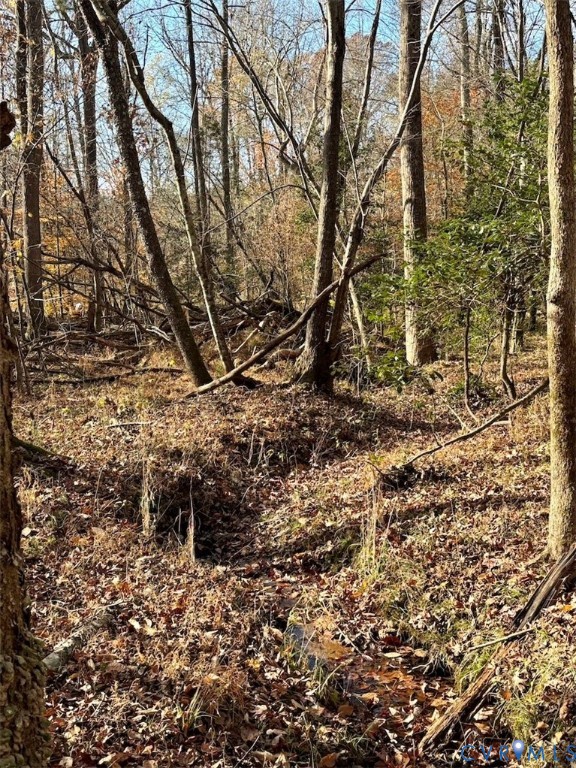 0 Grubby Road Wilsons, VA 23894 - Photo 24 of 27 a backyard of a house with lots of green space