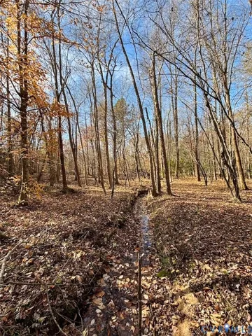 a backyard of the house