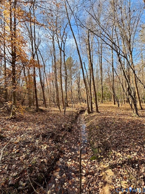 0 Grubby Road Wilsons, VA 23894 - Photo 25 of 27 a backyard of the house
