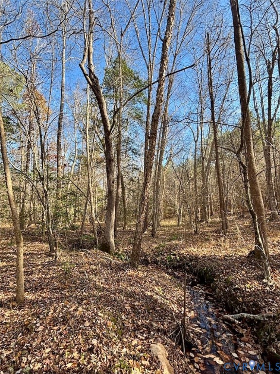 0 Grubby Road Wilsons, VA 23894 - Photo 26 of 27 a backyard of a house with lots of green space
