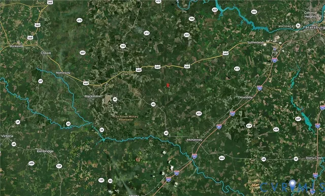 a view of flowers in bunch