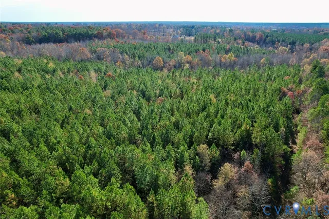 a view of a lush green forest with trees in the background