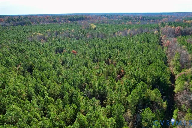 a view of a lush green forest with trees and some houses
