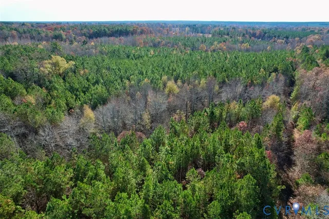 a view of a lush green forest with lush green forest