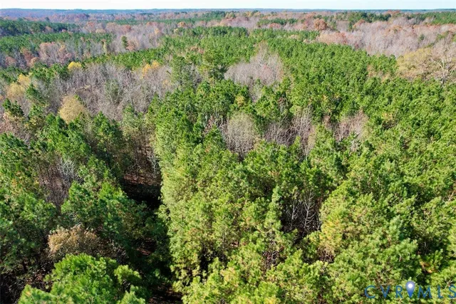 a view of a garden with a tree